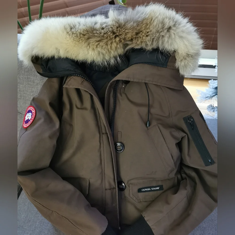 Winter jacket - Picture 5 of 5